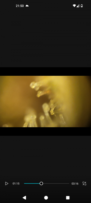 Screenshot_20240509-215004.png