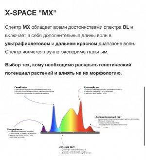 IMG_8731.jpeg