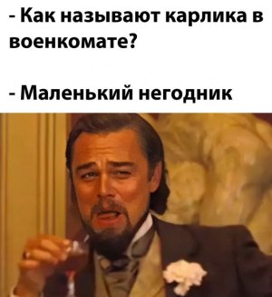19186453.jpg