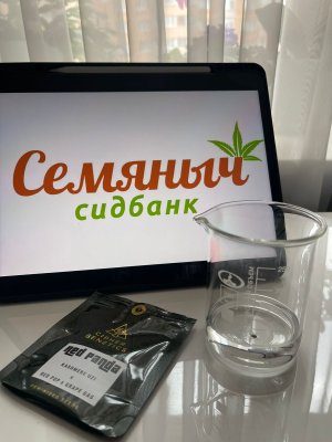 bcf9e91e-b415-4a6d-8de3-9150c4406330.jpeg